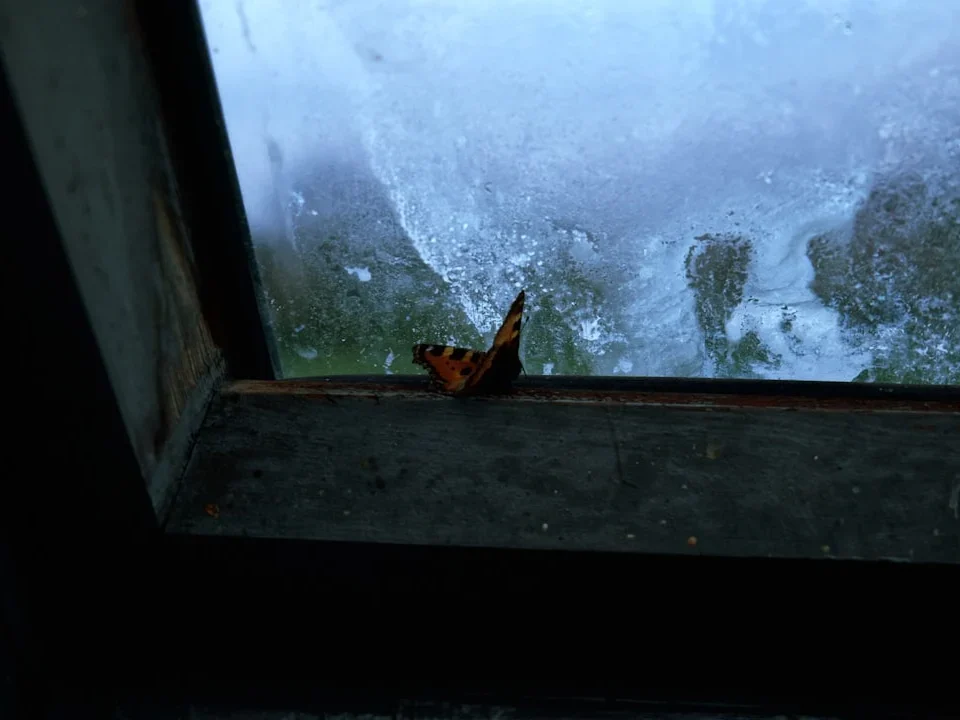 Broken Window Glass Window Hinge