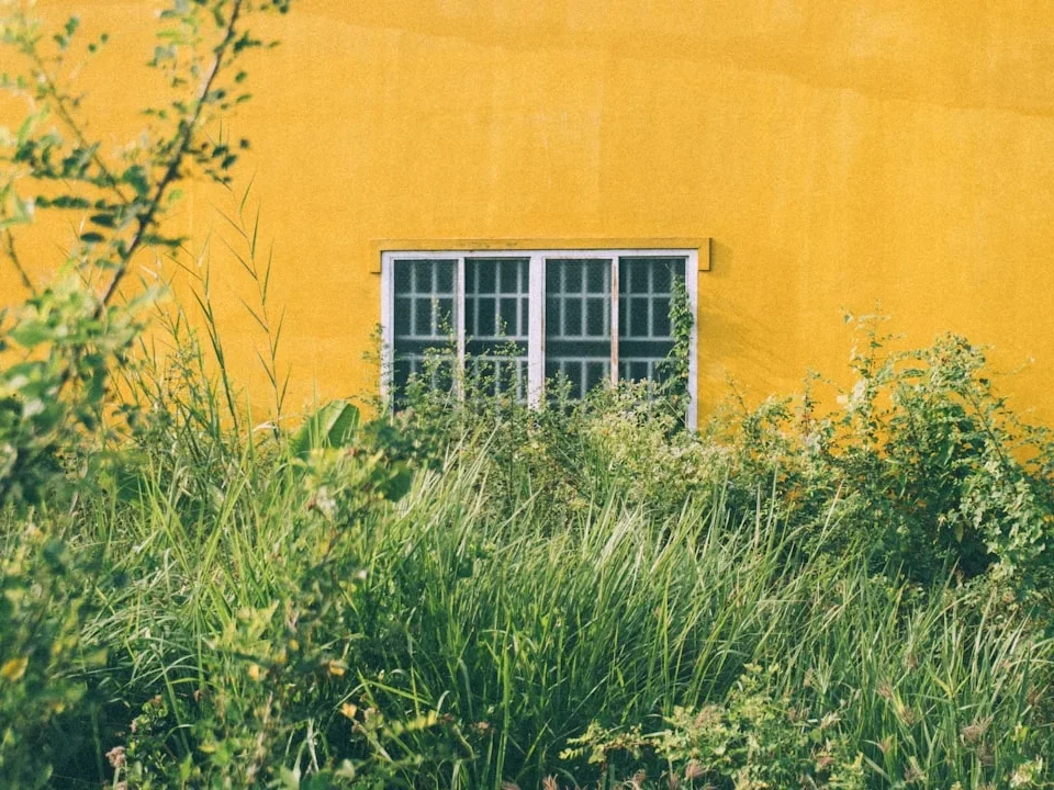 Choosing Windows Sustainable Choices