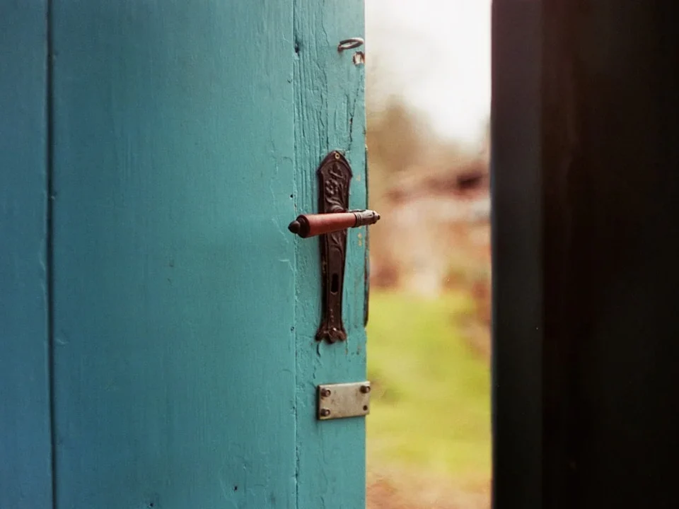Door Hinge Handle
