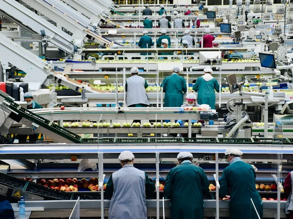 Factory Quality Control