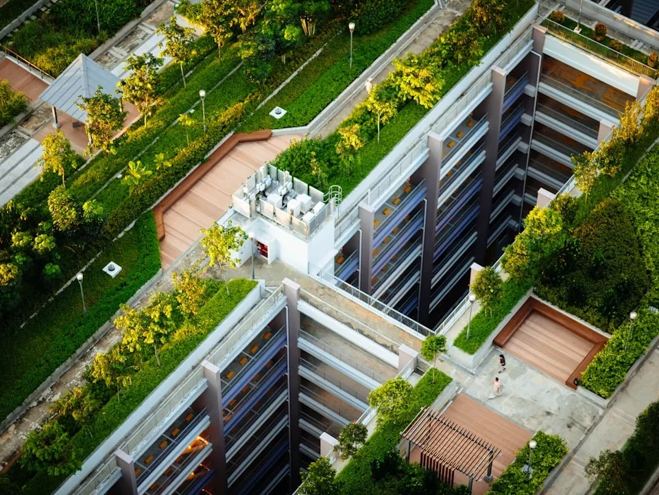 Green Building Healthy Home