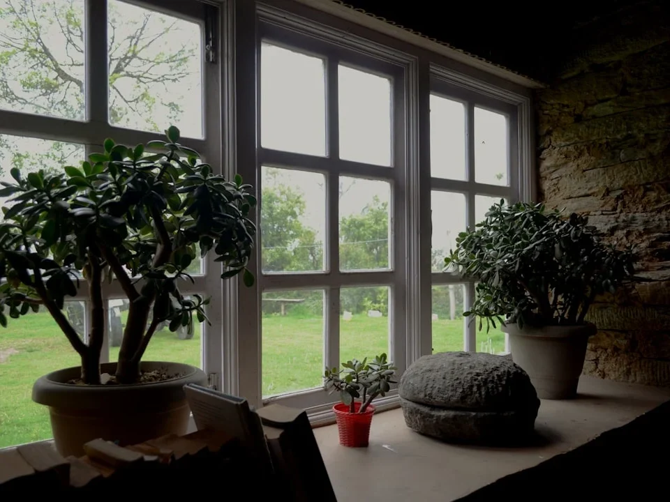 Modern Home UPVC Windows