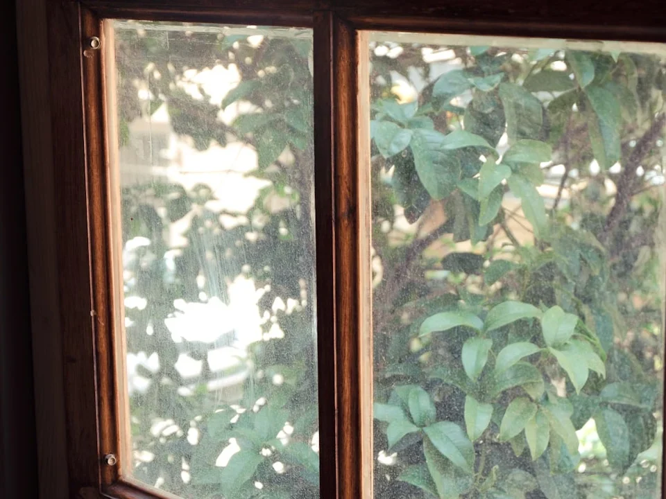 Mosquito Net Cleaning Window Maintenance
