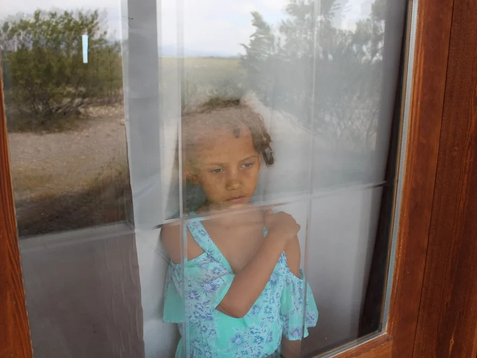 Mosquito Net Types Window Screen Options