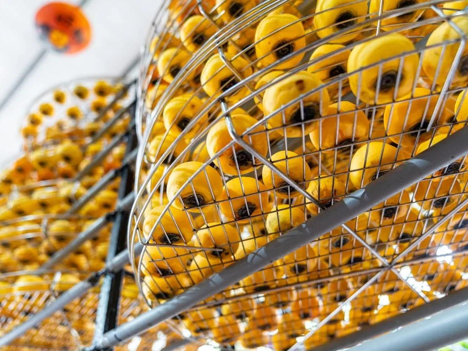 Quality Standards Factory Inspection