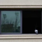Sliding Window Casement Window