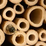 Soundproof Termite Proof