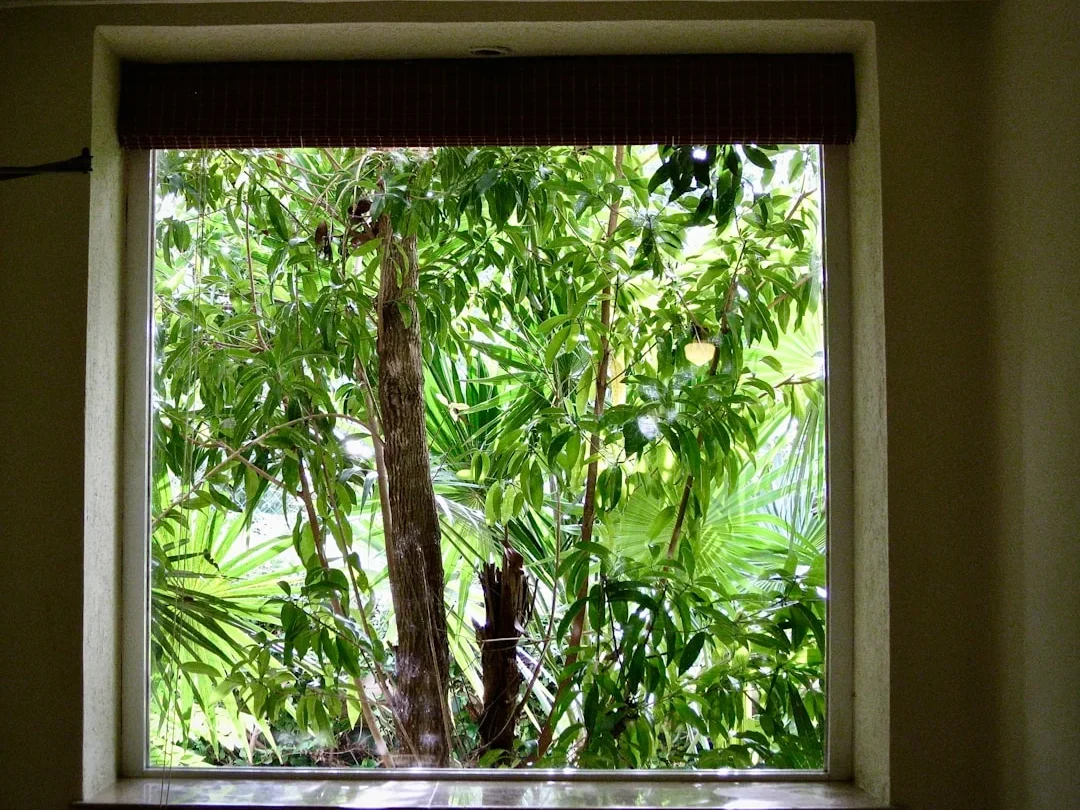 Soundproof Window Anti Termite Window