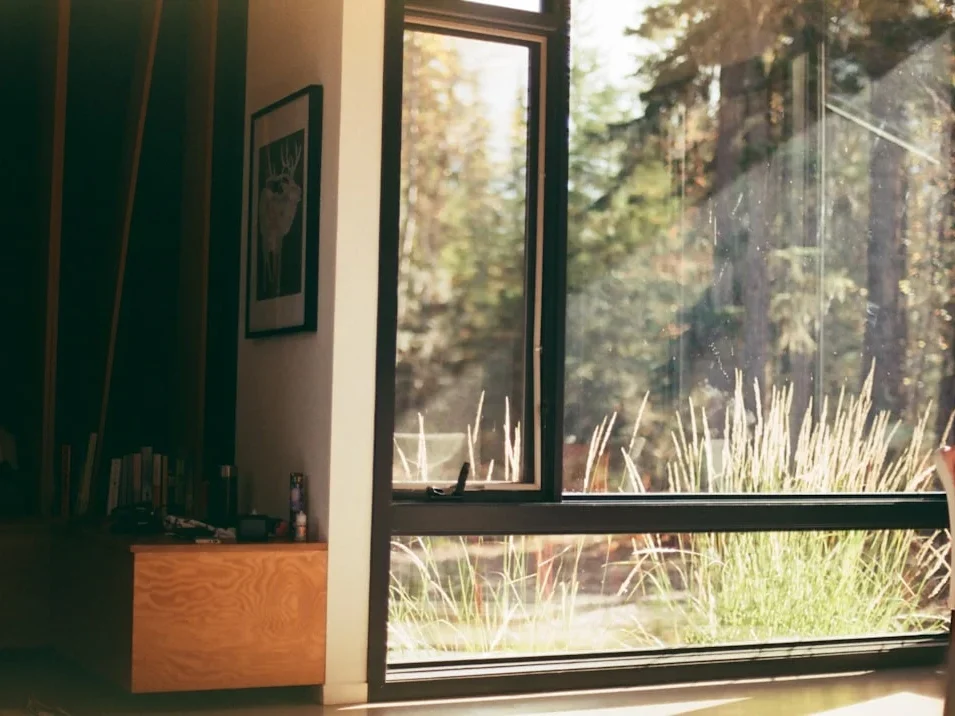 Soundproof Window Termite Free Home