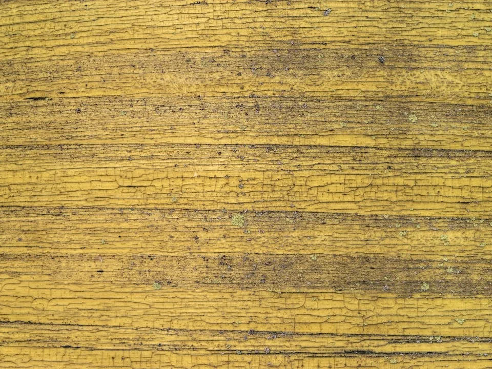 Teak Wood Grain Wood Texture Natural Wood