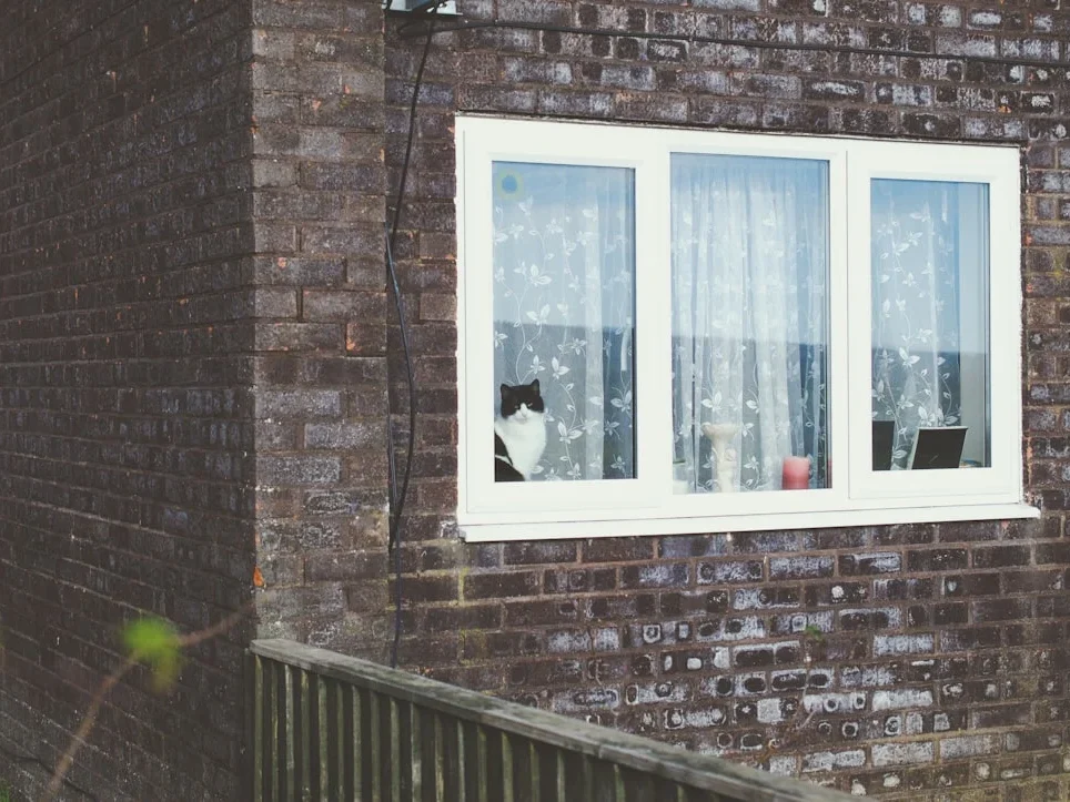 UPVC Benefits Strong Window