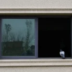 UPVC Door Types Sliding Window