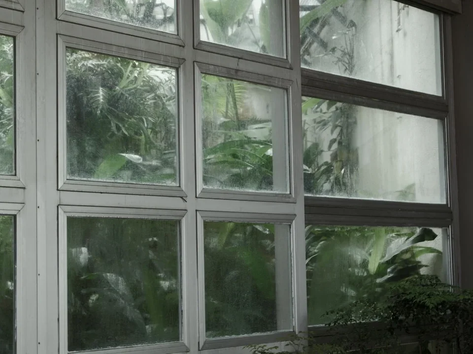 UPVC Window Modern House