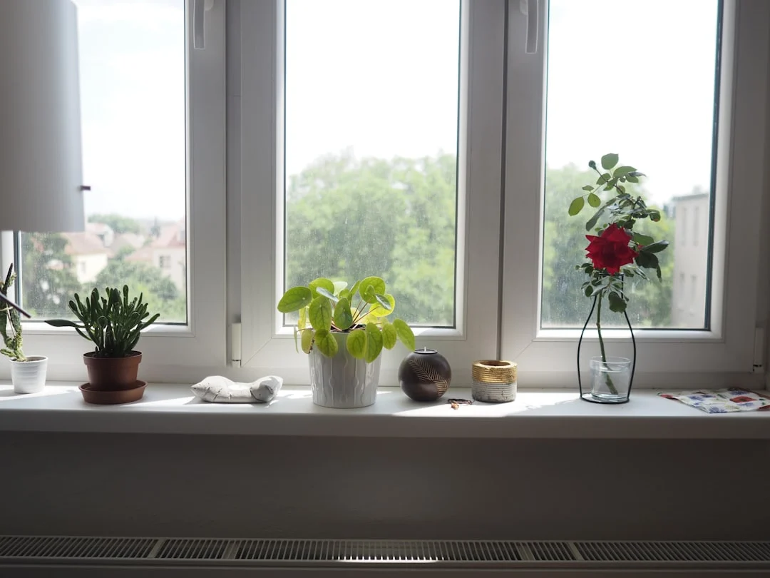 Window Comparison Energy Efficiency