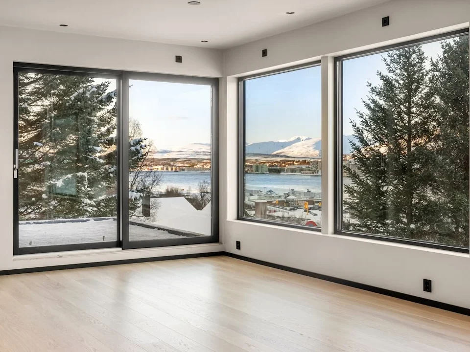 Window Selection Home Renovation
