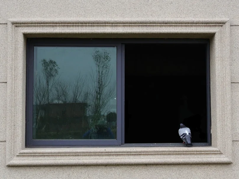 Window Types Sliding Window