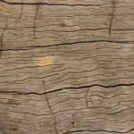 Wood Maintenance Cracked Wood