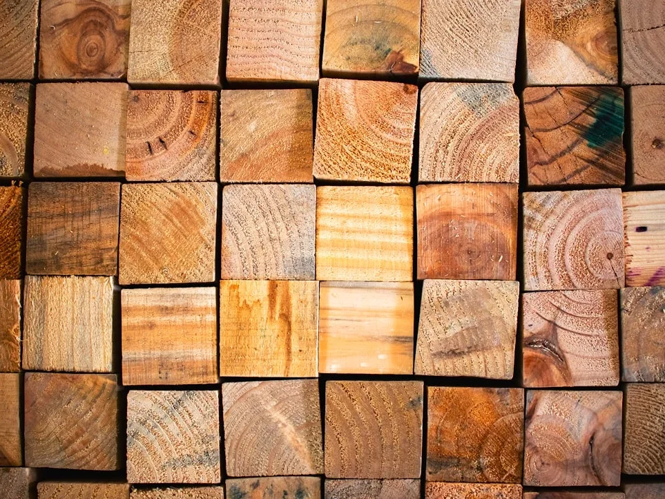 Wood Samples Timber Types