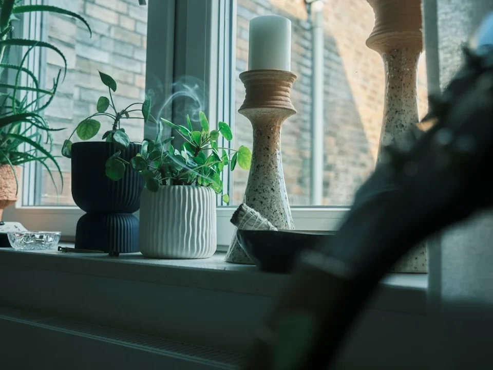 Clean Window House Maintenance