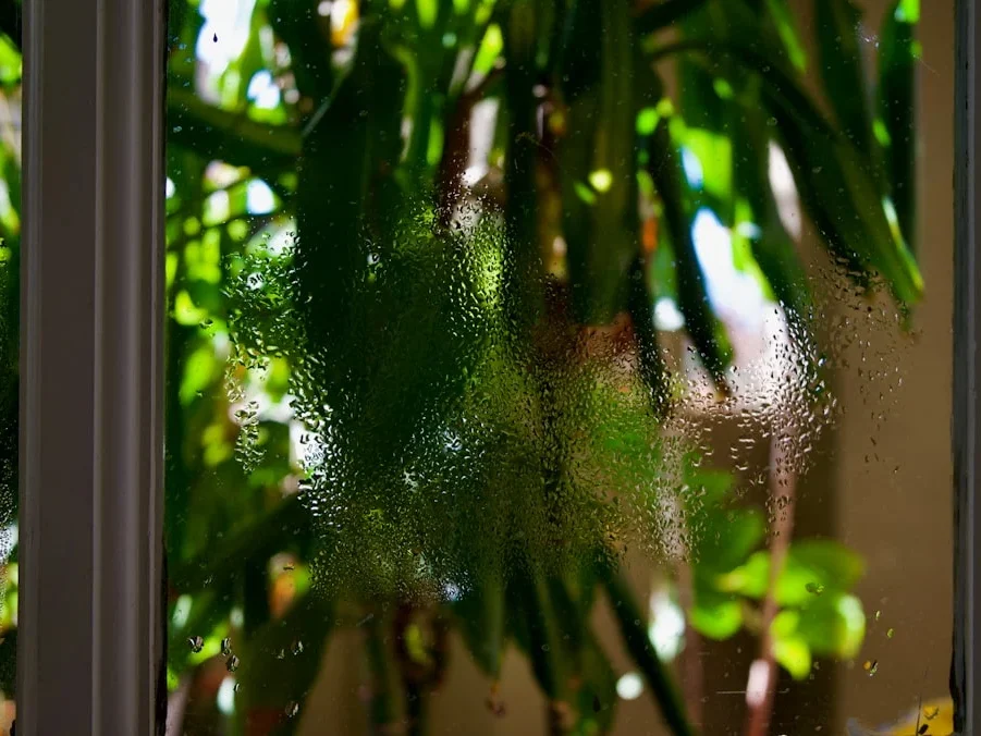 Clean Window Maintenance Spray