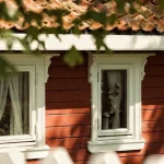 Conch Window White Frame