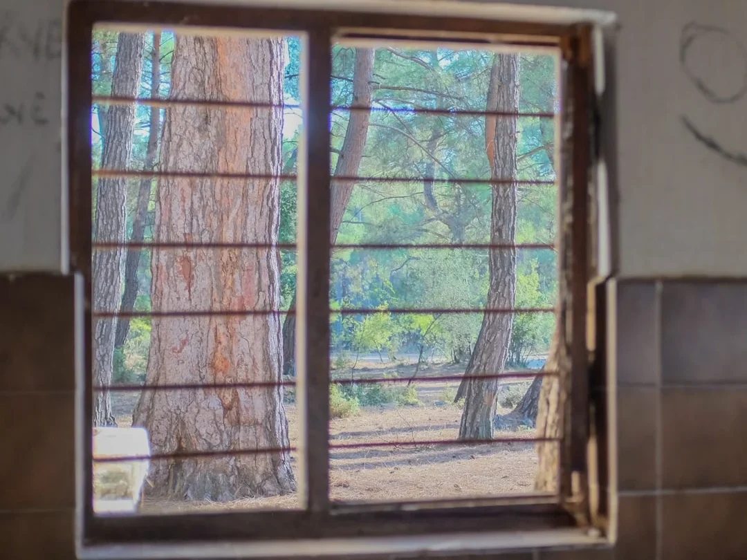 Durable Window Anti Termite Window