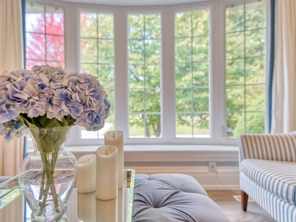 Home Design Window Selection