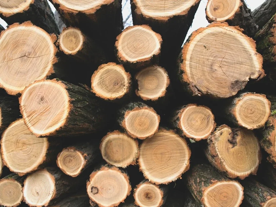 Legal Wood Certified Timber Sustainable Forest