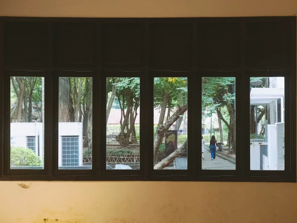 Modern Window Anti Termite Door