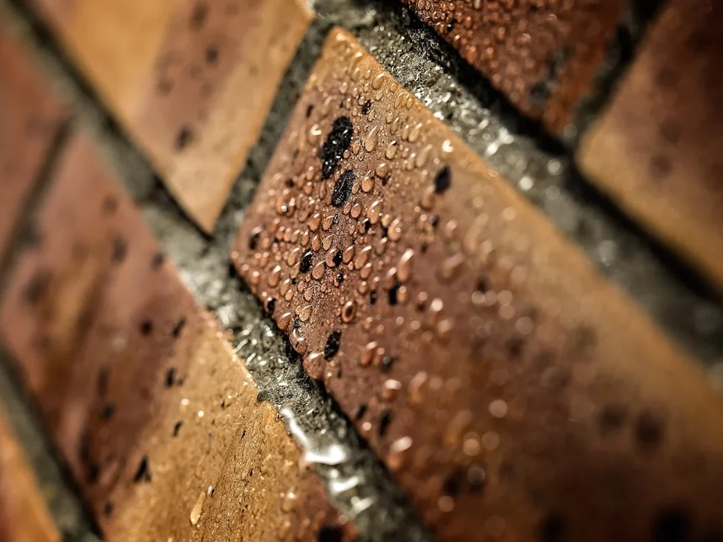 Soundproof Wall Termite Resistant Low Maintenance