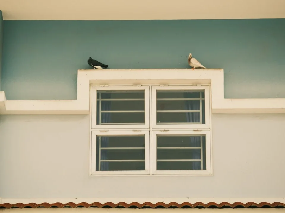 Soundproof Window Anti Termite Door Weather Resistant UPVC