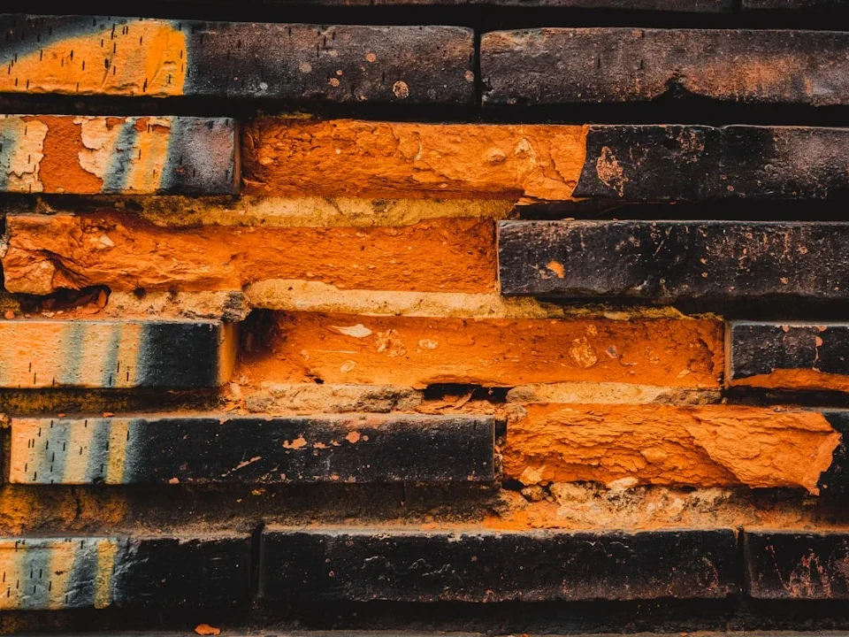 Soundproofing Termite Protection