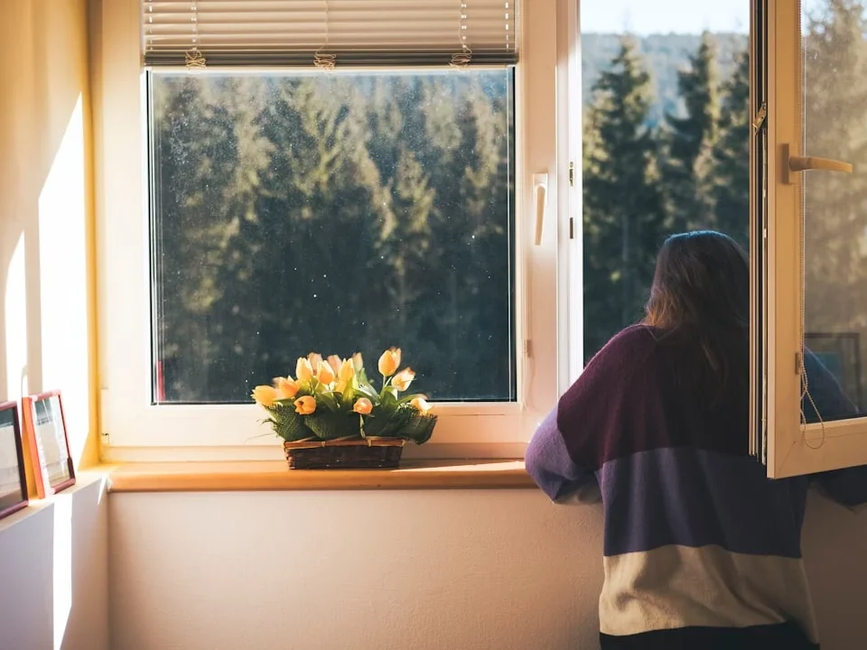 Window Measurement Home Owner