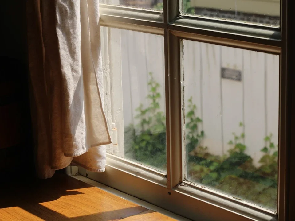 Window Selection Home Improvement