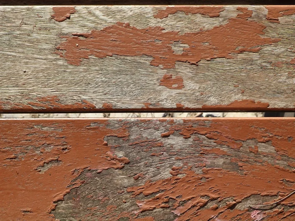 Wood Maintenance Wood Cleaning Wood Painting Termite Control