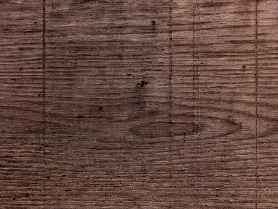 Wood Samples Wood Grain