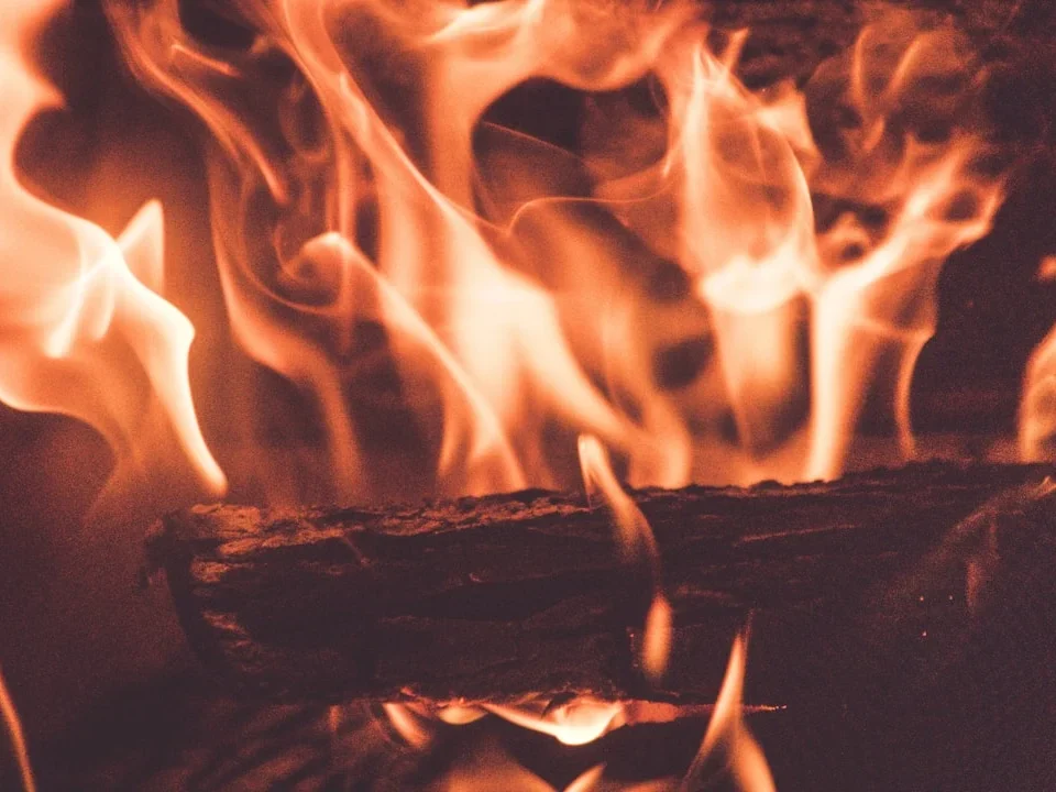 Wood Types Fire Safety Factors